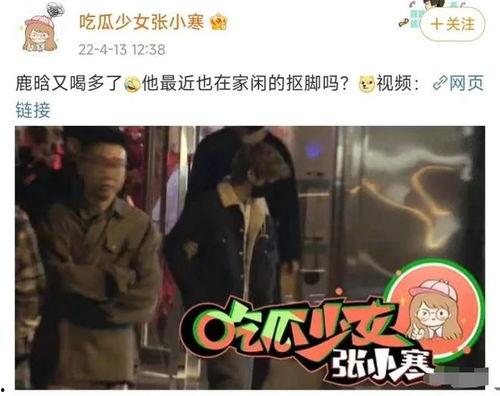 狗仔爆料加菲视频播放,加菲猫萌态视频走红网络 第3张 狗仔爆料加菲视频播放,加菲猫萌态视频走红网络 第3张